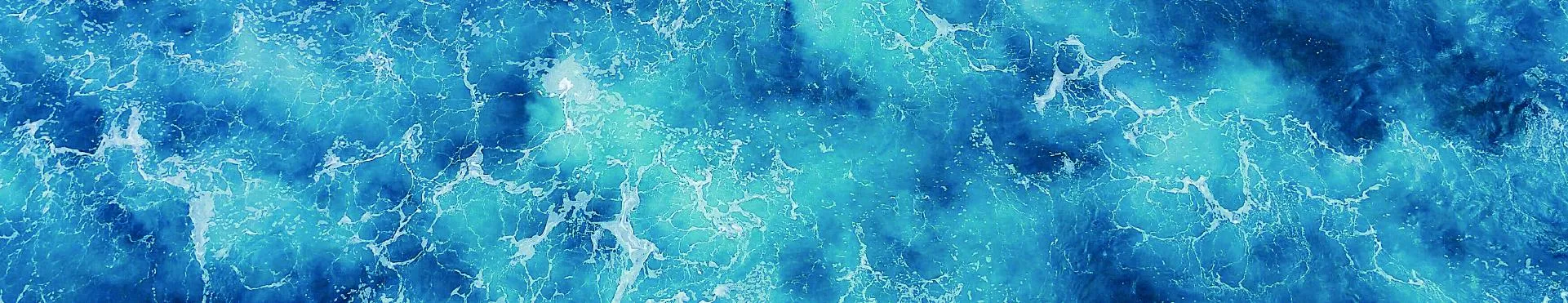 Seeing animals differently: the science and ethics of sentience