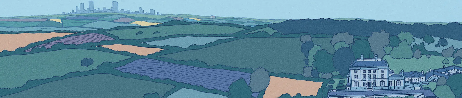 Donate to the AFLSE Scholarship Fund